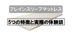 【徹底解説】ブレインスリープマットレスの特徴とレビュー